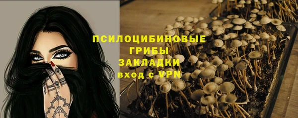 бутират Горно-Алтайск